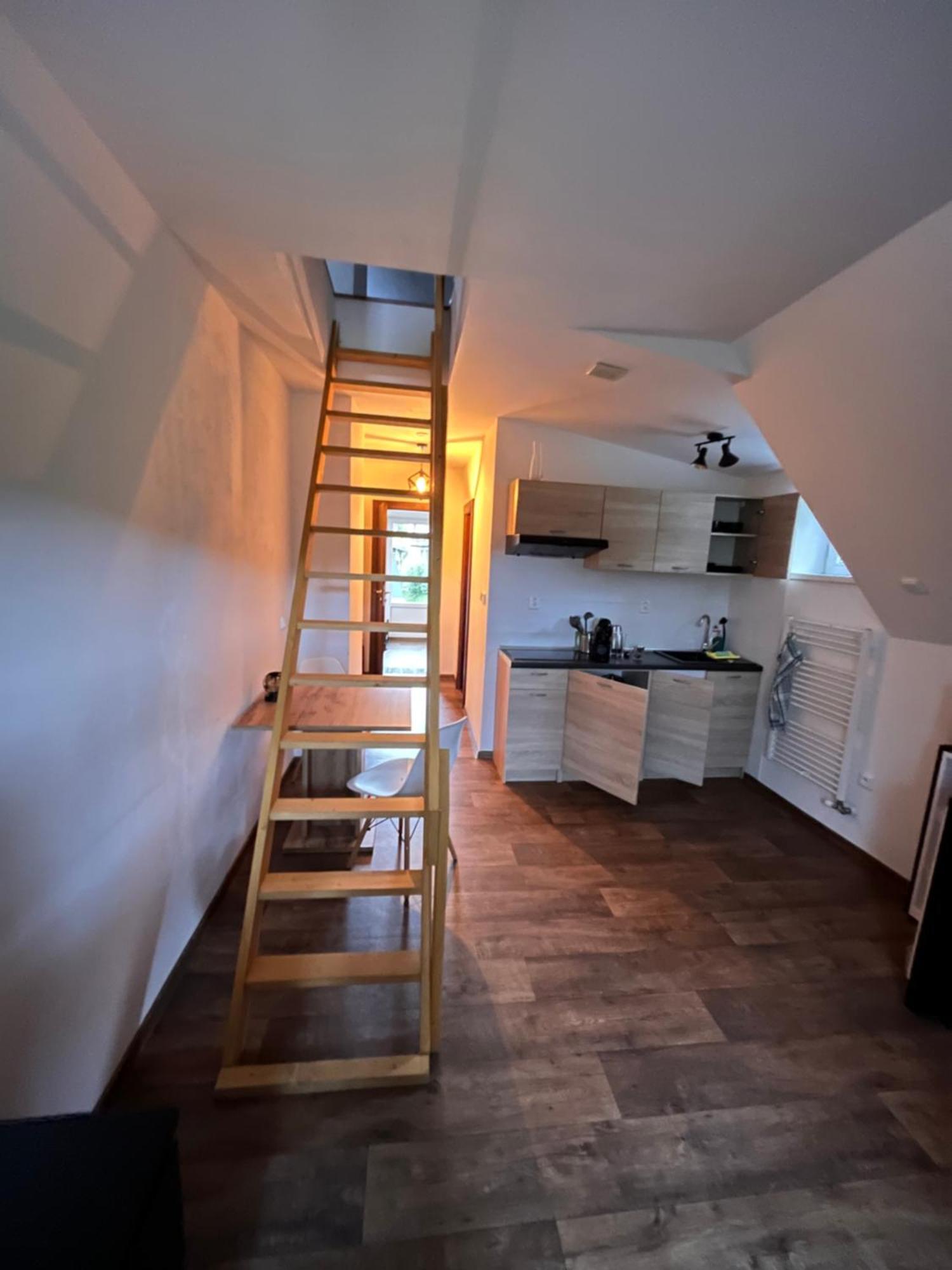 Apartmany Klarka ロキトニツェ・ナト・イゼロウ エクステリア 写真